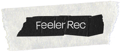 Feeler Record